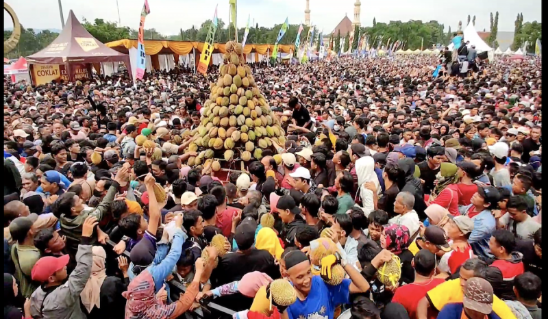 Festival Durian Di Pekalongan Ricuh, Puluhan Warga Runtuh