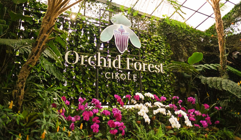 Inilah 10 Fasilitas Menarik di Orchid Forest Cikole, Banyak Spot Foto Kece!