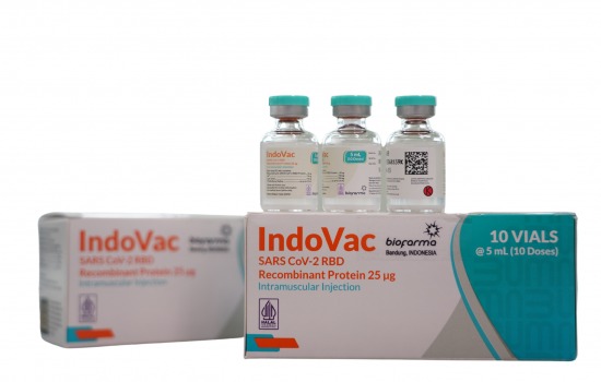 Indovac, Vaksin Covid-19 Produksi Bio Farma Kantongi Izin Edar dari BPOM