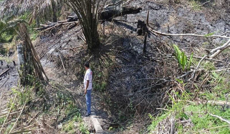 Polsek Silau Kahean dan Tim Gabungan Terjun ke Lokasi Kebakaran Perkebunan Sawit Pastikan Api Sudah Padam