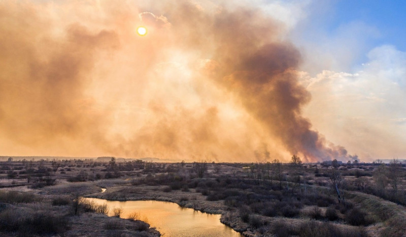 240 Ribu Hektare Lahan di Texas AS Terbakar