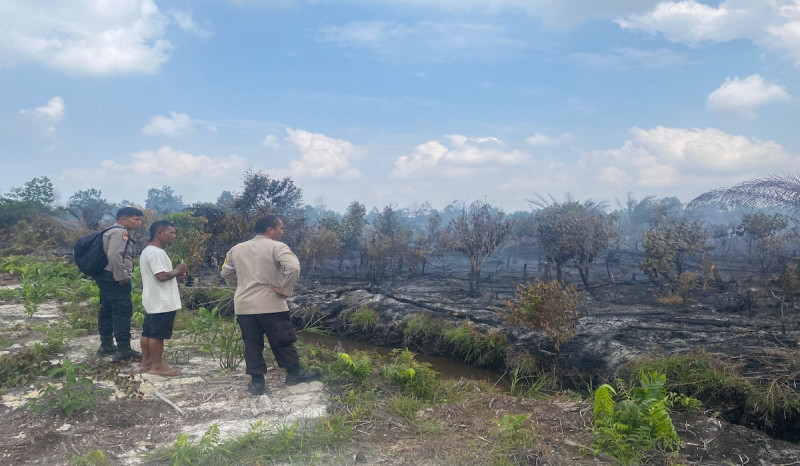 Wali Kota Dumai Bantah Tetapkan Status Siaga Darurat Karhutla