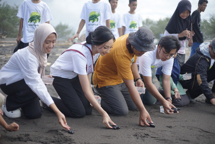 Puteri Indonesia DIY Dukung Konservasi Mangrove dan Penyu di Pantai Trisik