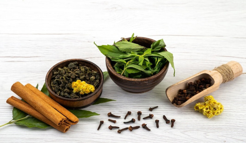 80 Persen Penduduk Dunia Gunakan Obat Herbal Tradisional