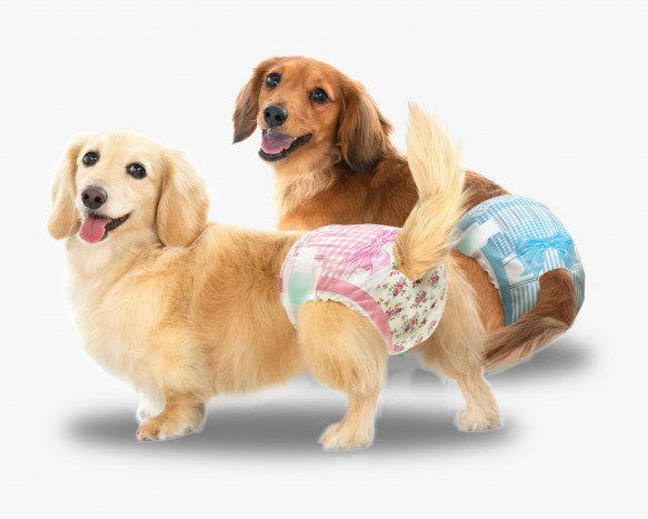 Diluncurkan, Popok Anjing Manner Wear