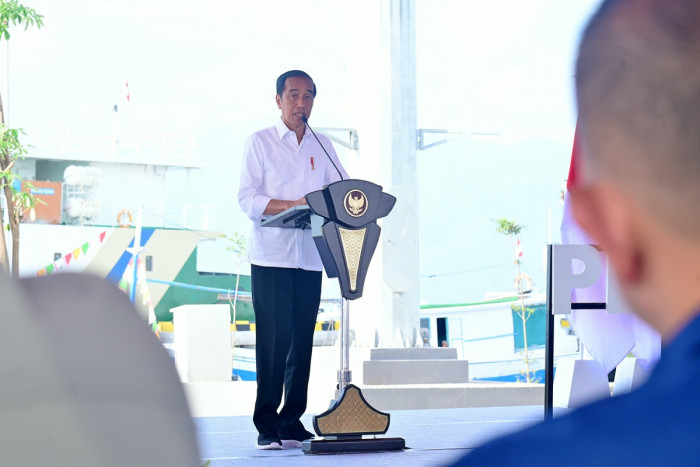 Jokowi: Rehabilitasi Pelabuhan Wani dan Pantoloan dapat Tingkatkan Mobilitas dan Ekonomi Sulteng