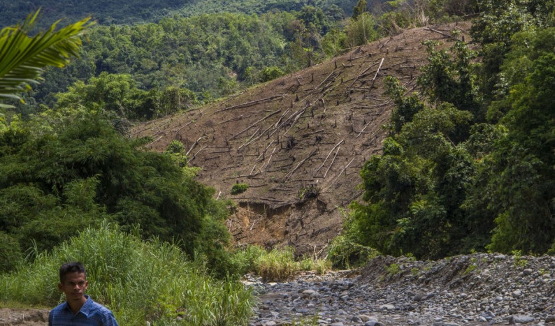 Deforestasi Diprediksi Picu Kekeringan di Dataran Tinggi Kalimantan