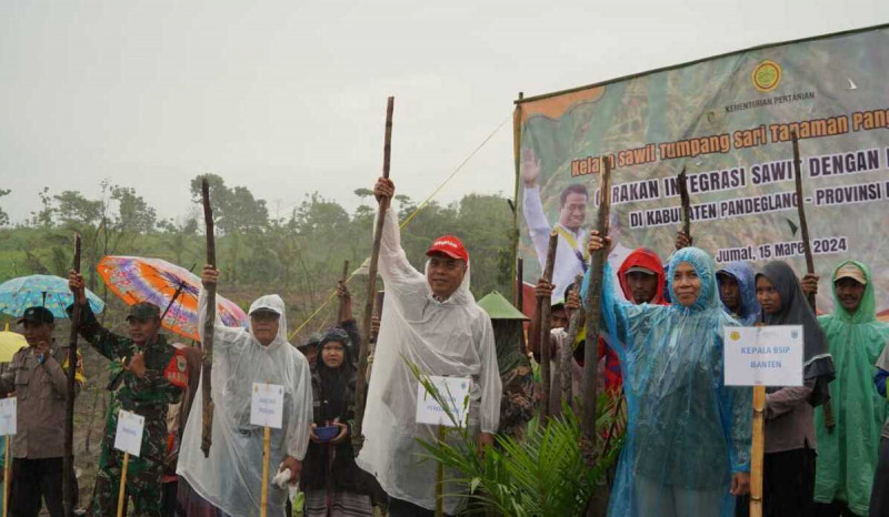 Lewat Program Kesatria, Kementan Upayakan Produksi Padi yang Melimpah