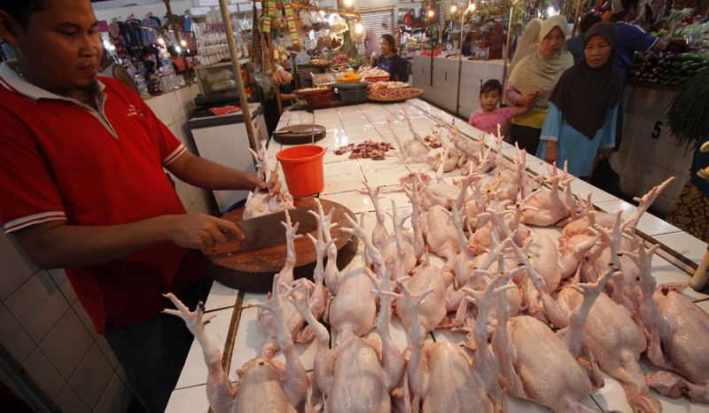 Harga Daging Ayam dan Telur Ayam di Kota Sukabumi Naik