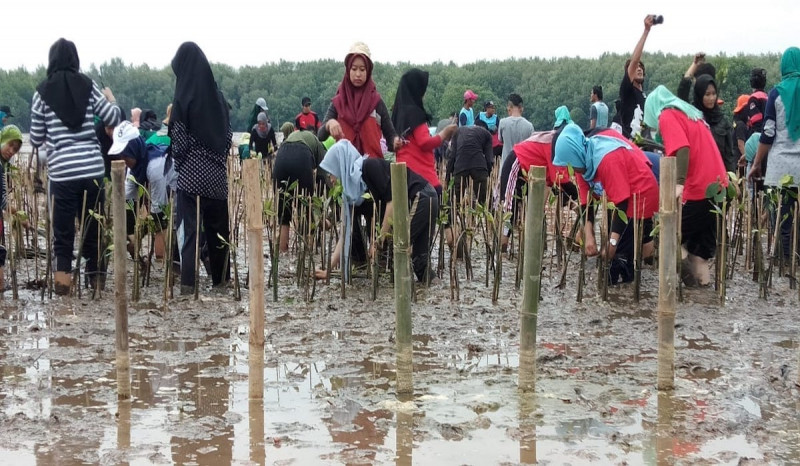 Trenggono: Hasil Sedimentasi Bisa Lestarikan Ekologi 