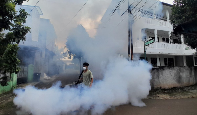 DBD di Kota Tasikmalaya Bermutasi Dengue 4, Kasusnya Meningkat Mencapai 288 orang