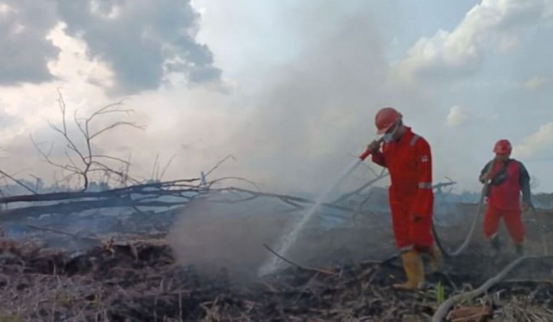 Karhutla Kembali Hanguskan Lahan Gambut di Kampar Riau