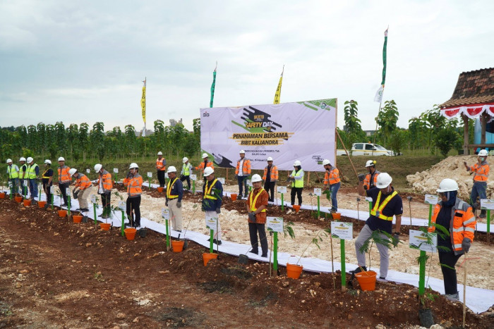 Hijaukan Lahan Pascatambang Pabrik Tuban,  SIG Tanam 500 Ribu Pohon