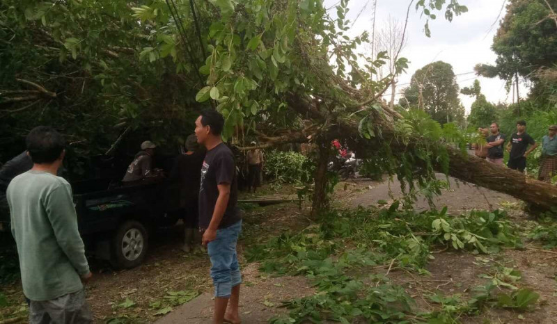 Cuaca Ekstrem, Gelombang Setinggi 3,5 Meter Hantui Perairan Bali