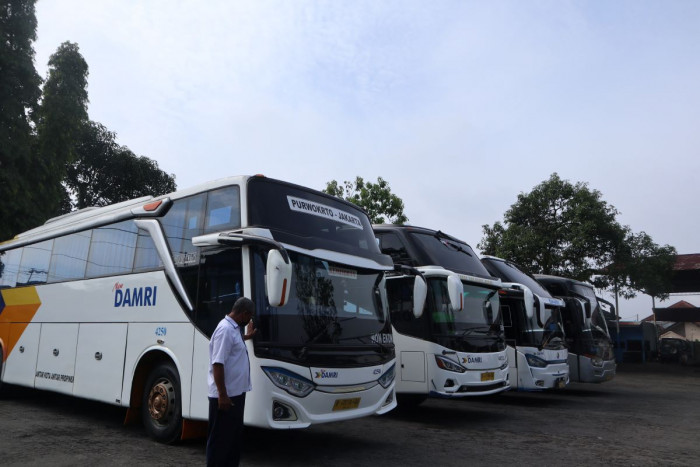 Damri bakal Tambah Armada Sleeper Bus Tahun Ini