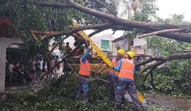 Hujan Deras Disertai Angin Kencang, Depok Dilanda Banjir dan Pohon Tumbang