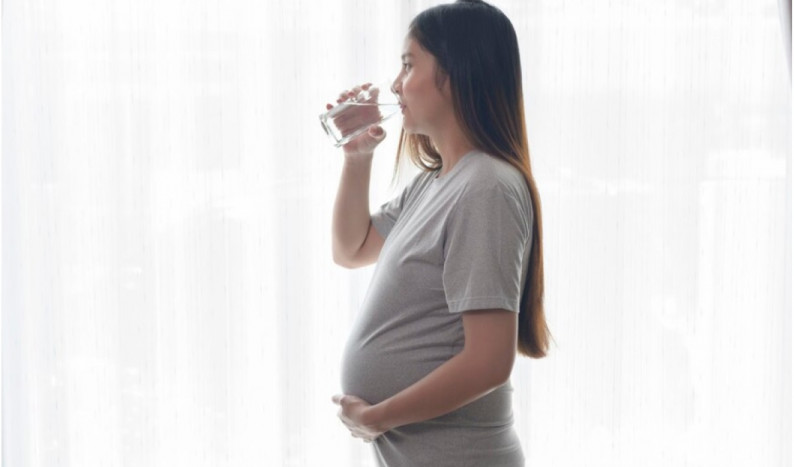 IBI: Ibu Hamil Perlu Air Mineral Berkualitas