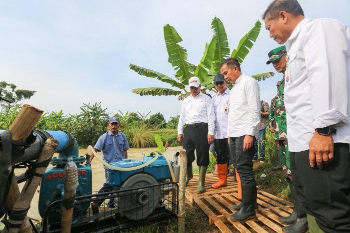 Menteri Pertanian Dukung Program Pompanisasi di Subang