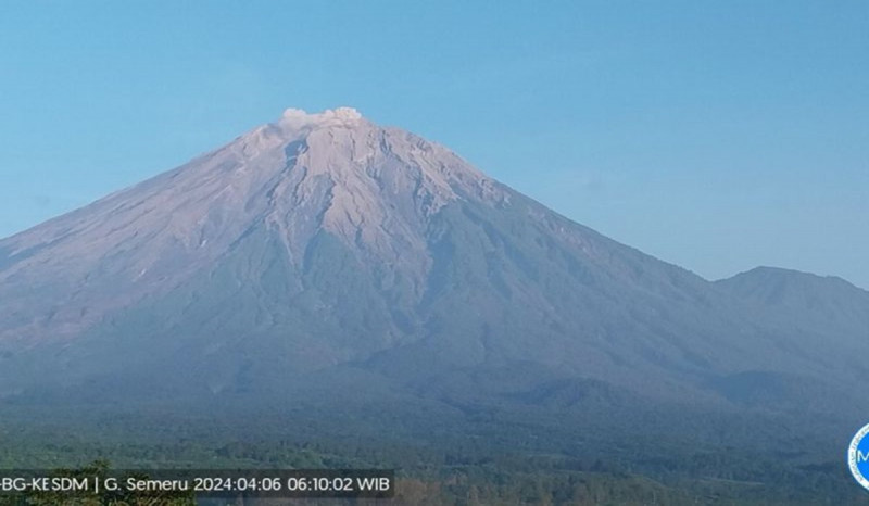 Erupsi, Gunung Semeru Muntahkan Kolom Abu Vulkanik Setinggi 500 Meter