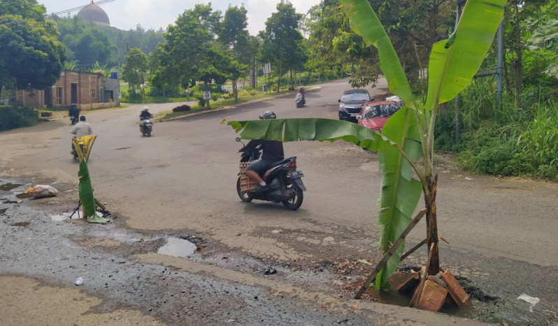 Kesal, Warga Bandung Barat Tanam Pohon Pisang di Jalan Rusak