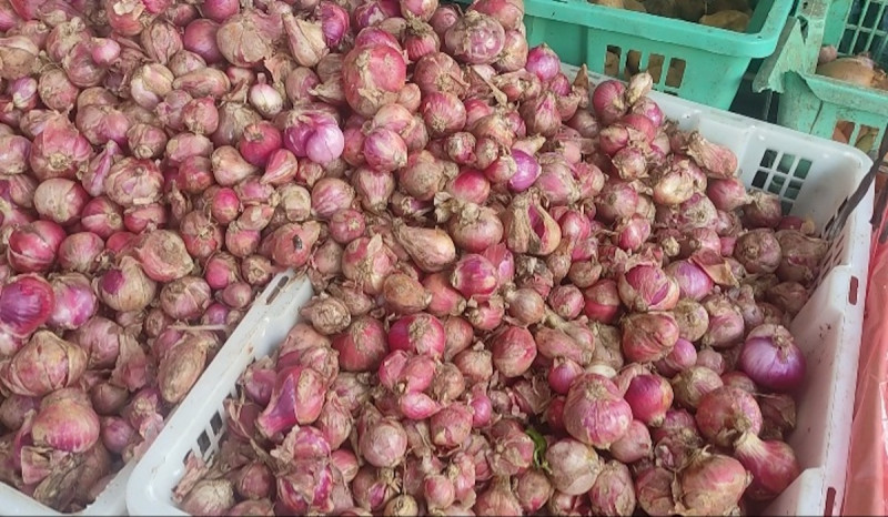 Pengamat : Banjir di Brebes jadi Salah Satu Penyebab Harga Bawang Merah Naik