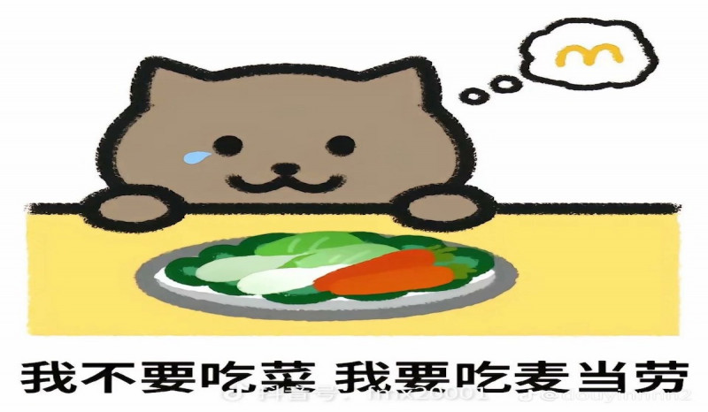 Tragedi Cinta Fat Cat, Kisah Viral di Balik Ribuan Bunga di Jembatan Chongqing