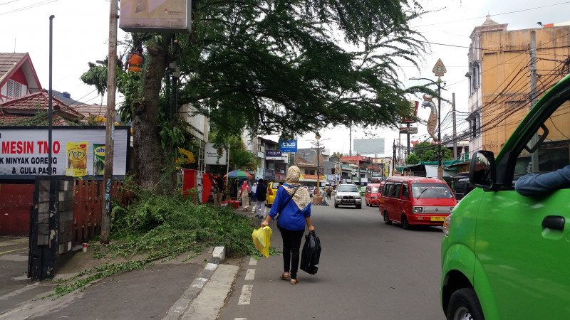 Cuaca Ekstrem, Dinas PUTR Kota Sukabumi Pangkasi Puluhan Pohon Rawan Tumbang