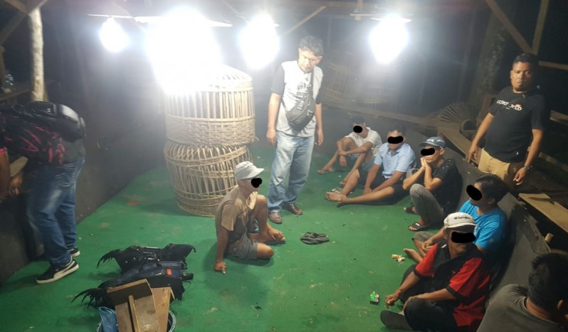 Tujuh Pelaku Judi Sabung Ayam di Tanah Jawa Ditangkap Polisi