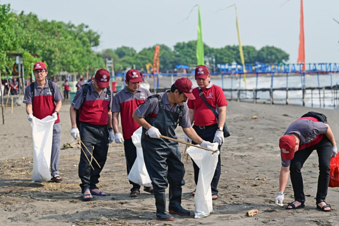 Penanaman Mangrove Upaya Untar Lestarikan Lingkungan 