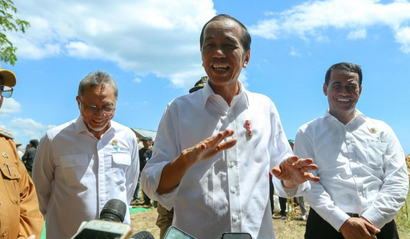Panen Jagung bersama Mentan di Sumbawa, Jokowi Tekankan Keseimbangan Harga
