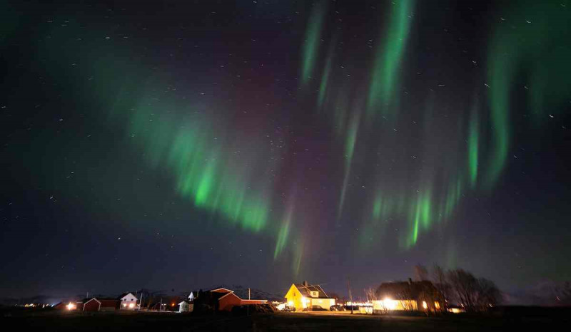 Fenomena Aurora Borealis di Langit Eropa, Apa Bedanya dengan Aurora Australis?