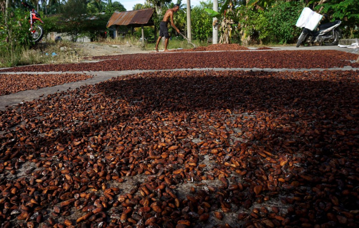 Transaksi Kakao Capai 700 Juta Dolar AS, Ekosistem Digital sangat Dibutuhkan