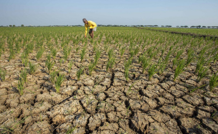 Kemarau Tiba, Para Petani Diminta Buat Penampungan Air