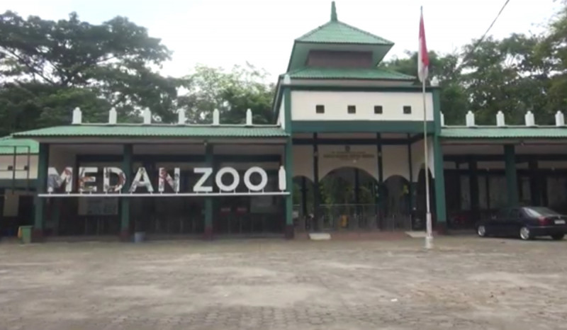 Bobby Nasution Akui Medan Zoo Krisis Pakan, Investor Diharap Masuk Tahun Depan