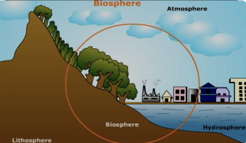 Apa Itu Biosfer? Simak Pengertian, Fakta, Faktor, Serta Manfaatnya di Bumi