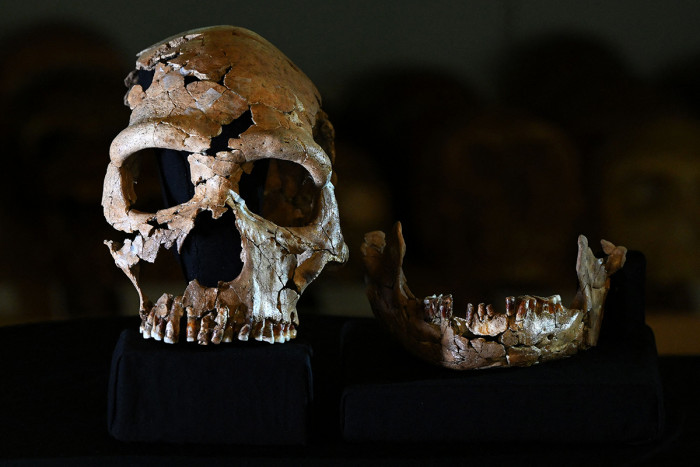 Peneliti Ungkap Kapan Neanderthal dan Homo Sapiens Melakukan Kawin Silang