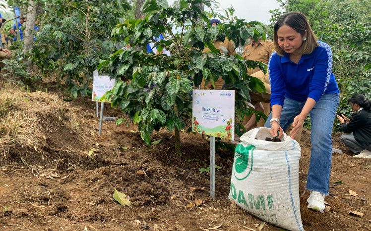 Revitalisasi Kebun Kopi Cikoneng, Petani Terima 40 Ton Pupuk