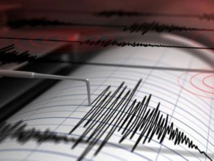  Gempa Tektonik Magnitudo 4.6 Guncang Lamno Aceh Jaya
