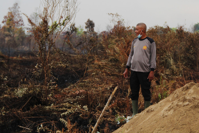 Tradisi Buka Kebun Bakar Lahan Masih Terjadi di Babel