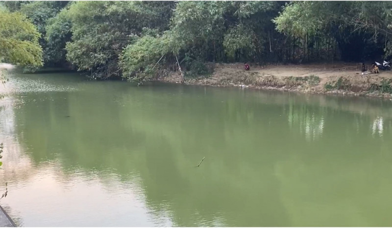 Pemburu Ikan Kaget Temukan Buaya di Sungai Trenggalek
