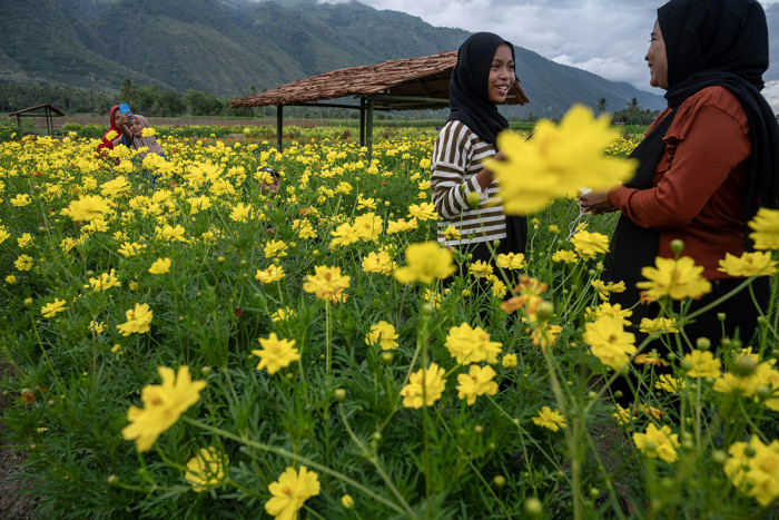 Konsep Desa Wisata dan Wisata Pedesaan Harus Dibedakan Secara Jelas di RUU Kepariwisataan