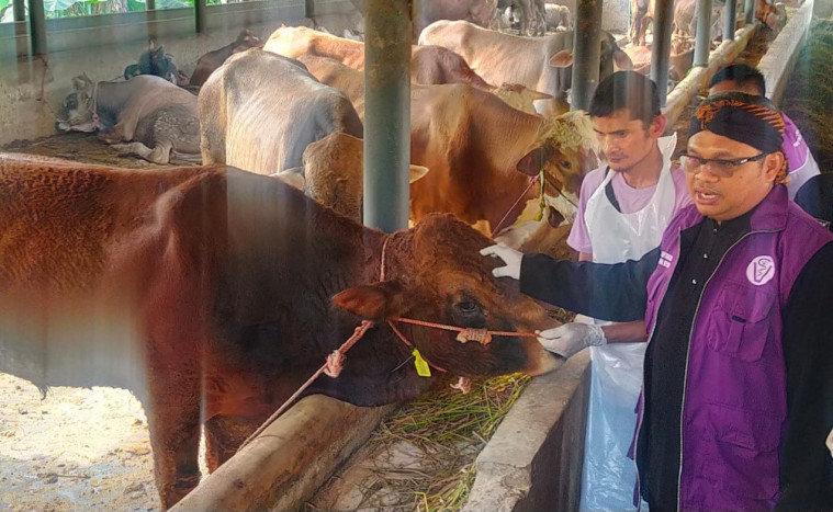 Penjualan Hewan Kurban di Cianjur Meningkat