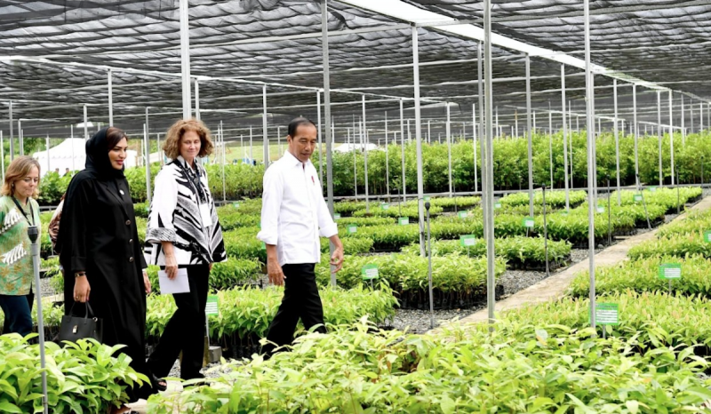 Jokowi Ingatkan Investor Harga Tanah di IKN akan Segera Naik