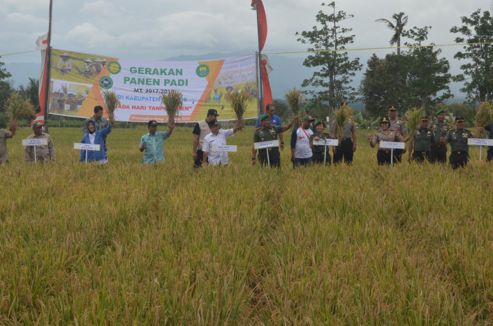 Produktivitas 1.000 Ha Lahan Pertanian di Cianjur tidak Terpengaruh Kemarau