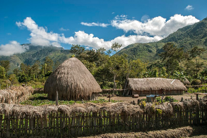 Mengenal 6 Rumah Adat Papua, Berikut Sejarah dan Ragamnya