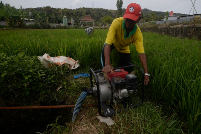 Pemkab Kaur Bengkulu Bagikan Pompa untuk Airi Sawah Tadah Hujan